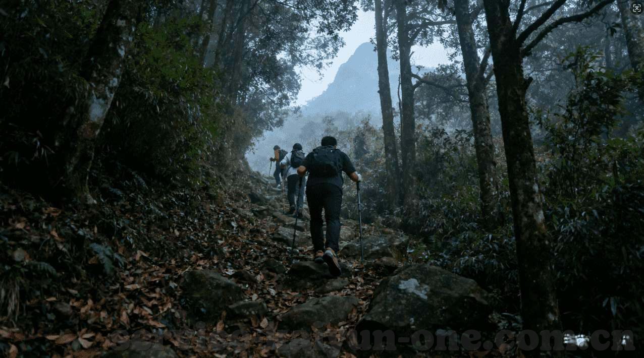kaiyun开云平台-探索Kaiyun开云平台的奥秘，高效云端服务助力企业数字化转型